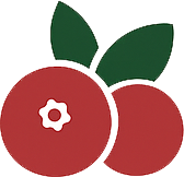Cranberry Icon