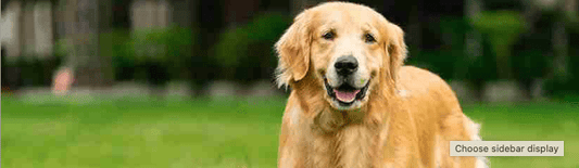 Success-Story-How-Ultimate-Weight-Control-Joint-Care-Helped-Max-Move-Again Ultimate Pet Foods