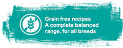 Grain Free Dog Food Recipes