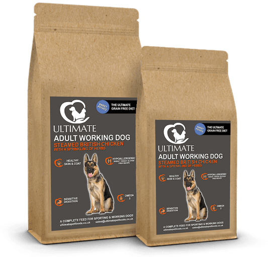 Success-Story-Luna-s-Transformation-with-Grain-Free-Chicken-and-Herbs Ultimate Pet Foods