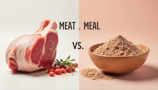 Split-screen comparison showing fresh dog food ingredients—salmon, chicken, beef, sweet potato, and herbs—versus a bowl of meat meal powder, highlighting the difference between freshly prepared ingredients and meat meal in dog food