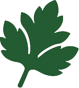 Parsley Icon