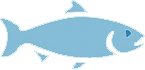 Salmon Icon