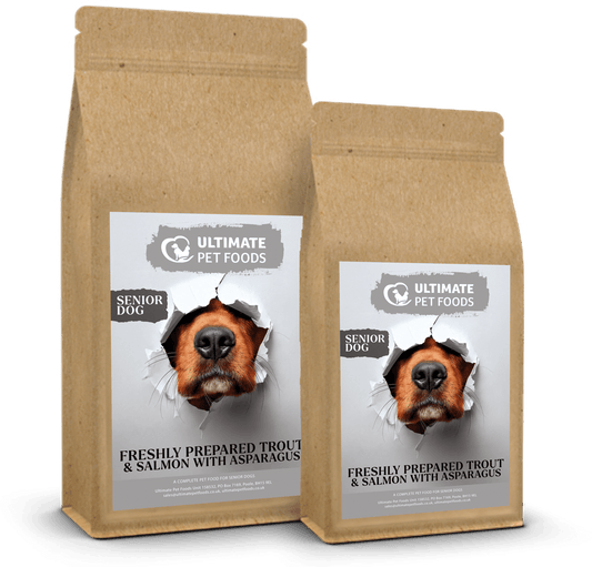 Freshly Prepared Trout & Salmon With Asparagus